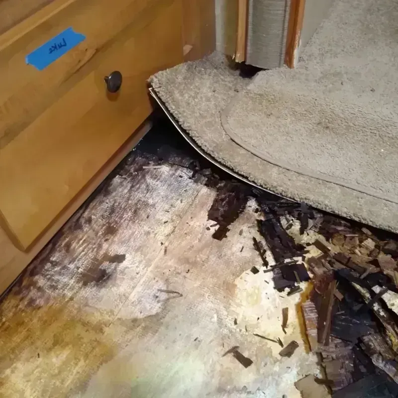 Wood Floor Water Damage in New Egypt, NJ